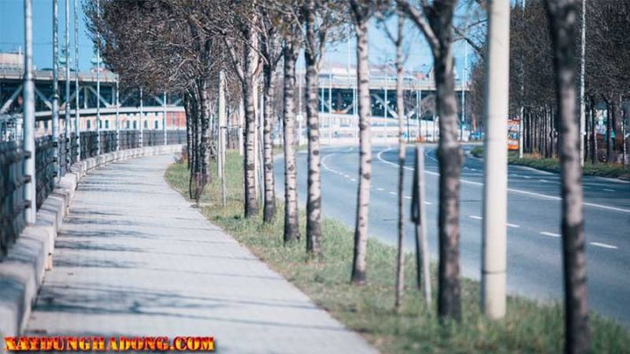 Khả năng chống trơn trượt và hiệu quả phanh