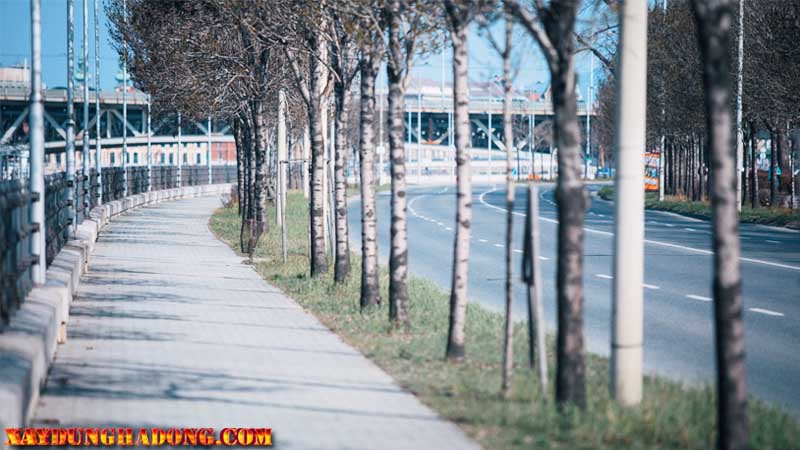 Khả năng chống trơn trượt và hiệu quả phanh