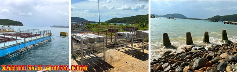 Thử nghiệm thực tế ngoài biển: Bê tông mới cho kết quả tích cực