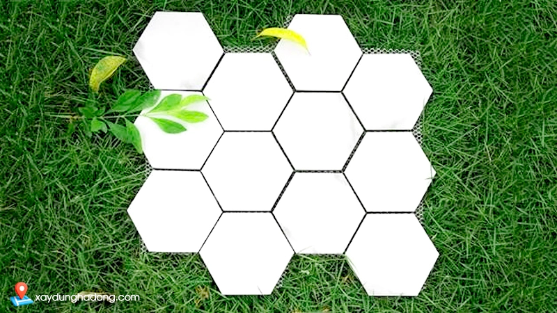 lựa chọn sản phẩm kỹ càng, mua gạch tại địa chỉ đảm bảo
